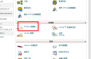 图片17
